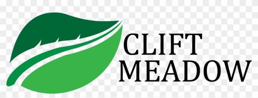 Graphic Design Clipart