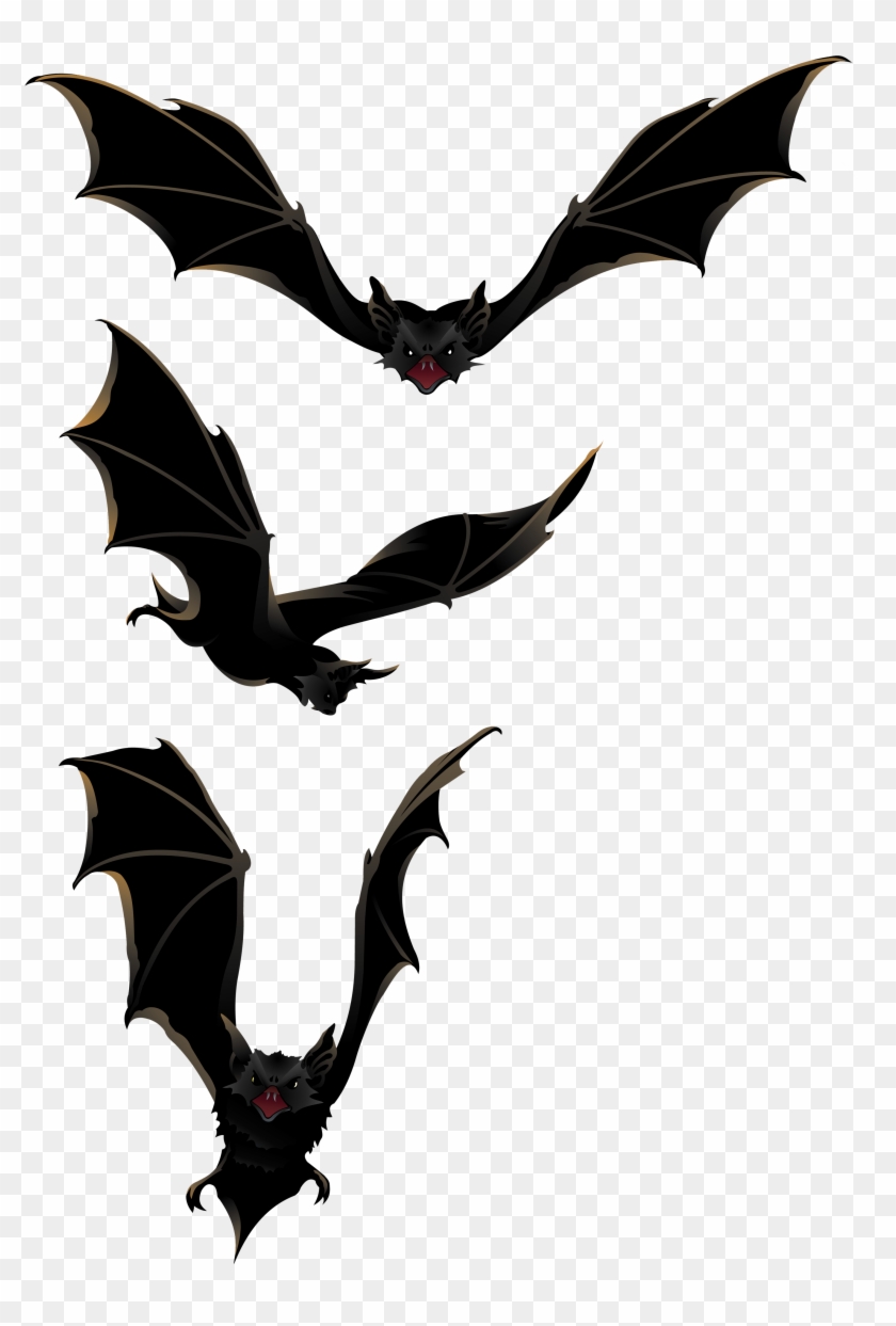 Halloween Png Bats Clipart - Bats Clipart Png Transparent Png #470644