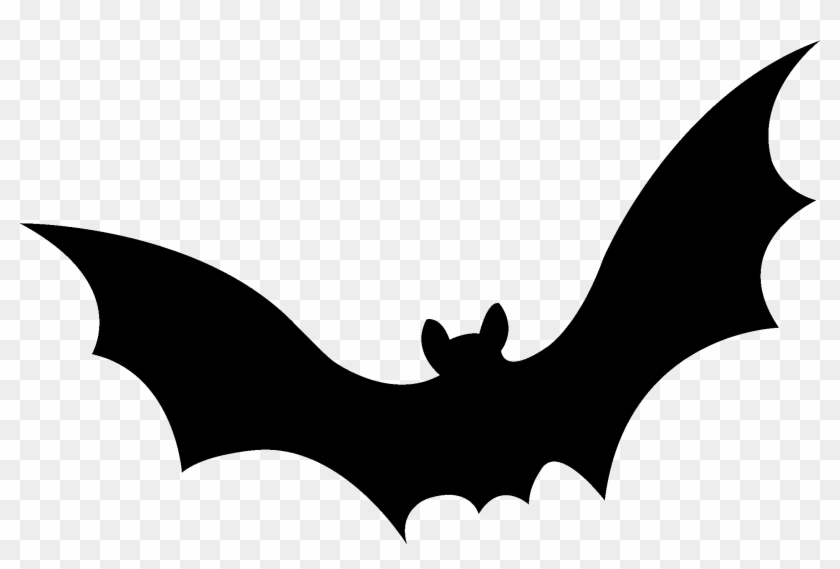 Bat Swarm High Resolution New Wallpaper - Flying Bats Gif High Resolution Clipart
