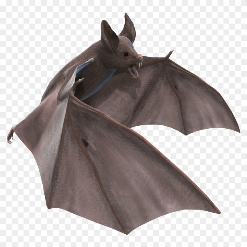 Animals - Bat Stock Clipart