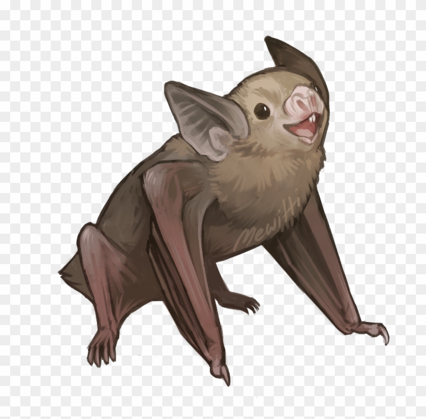745 X 747 16 - Kitti's Hog Nosed Bat Cartoon Clipart #471362