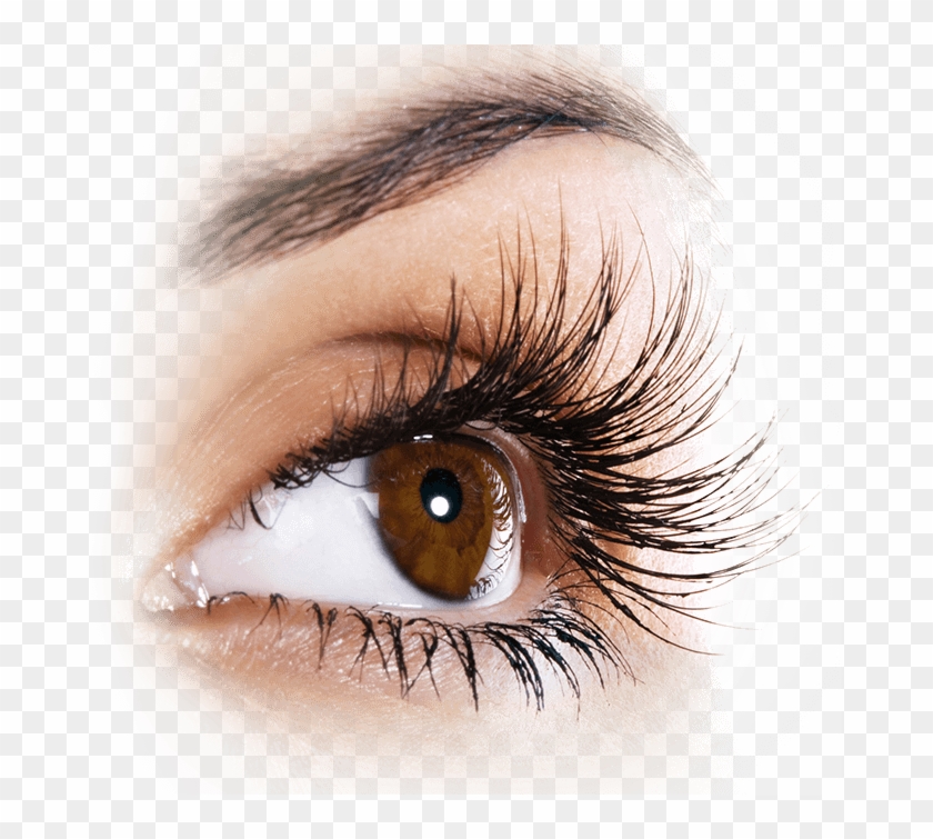 Grow Eyelashes Up To - Strong Eyelashes Clipart