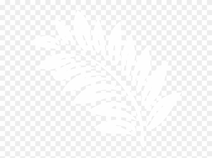 Small - White Fern Clipart Png Transparent Png #473109