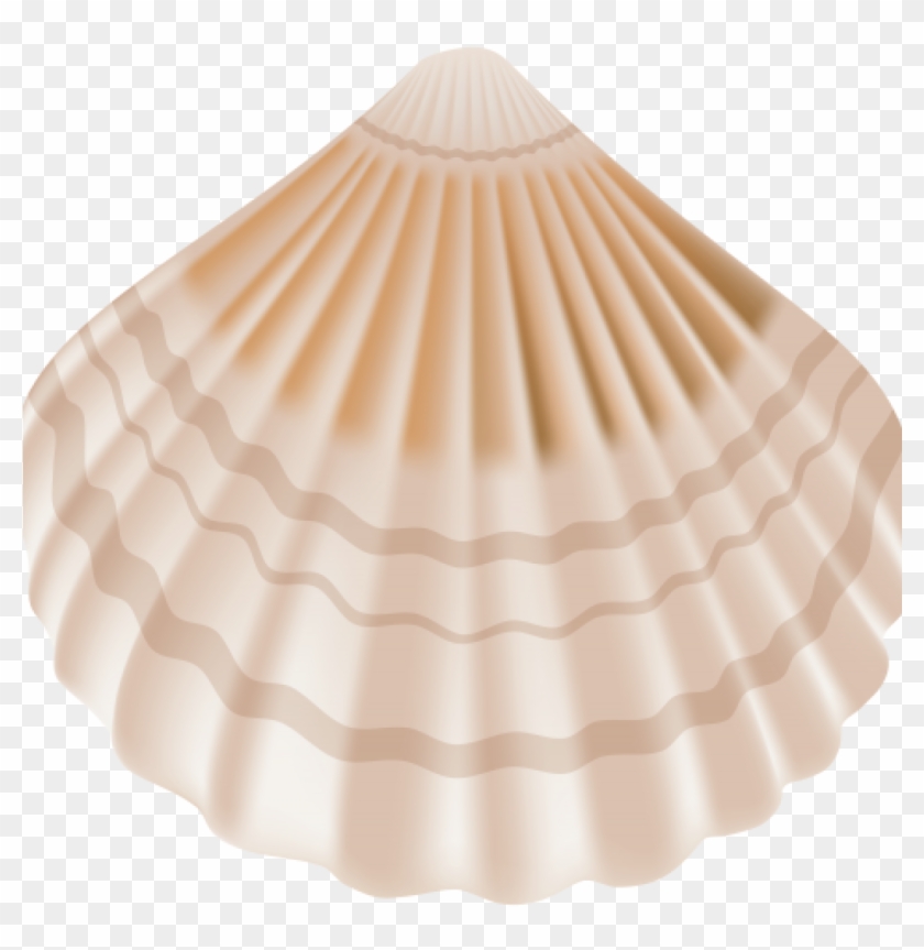 Clipart Seashell Seashell Png Clip Art Best Web Clipart - Transparent Sea Shell Png #473111