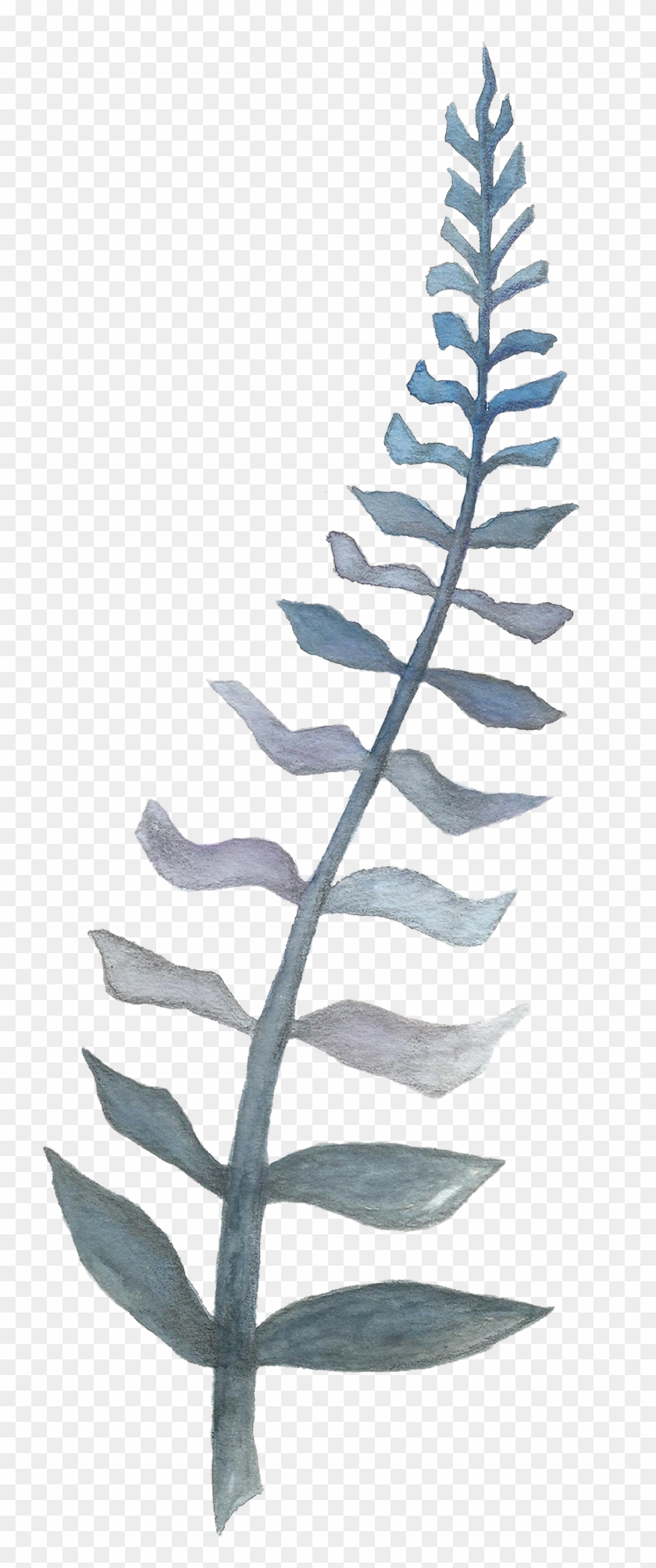 Contact Me - Fern Clipart