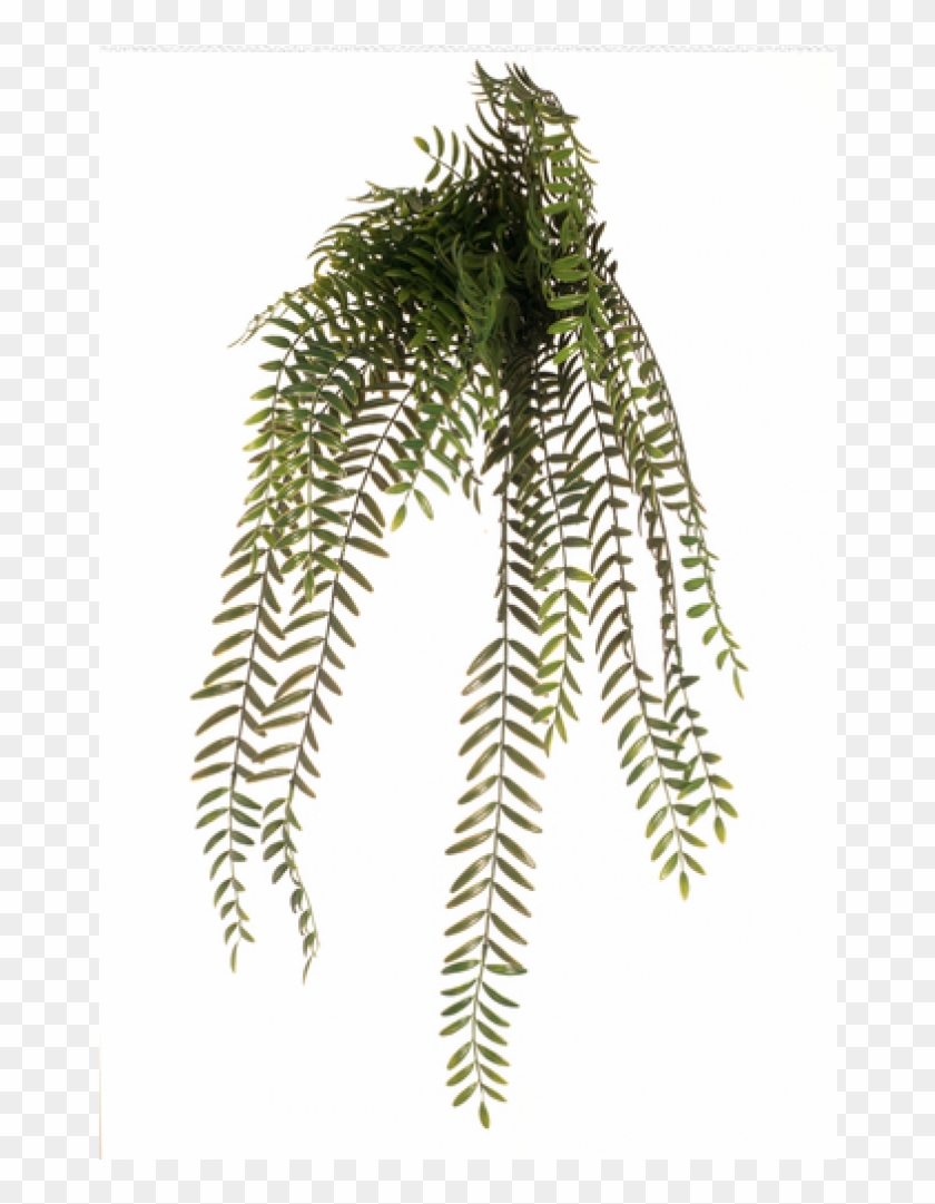 Png Hanging Bush Clipart #473313