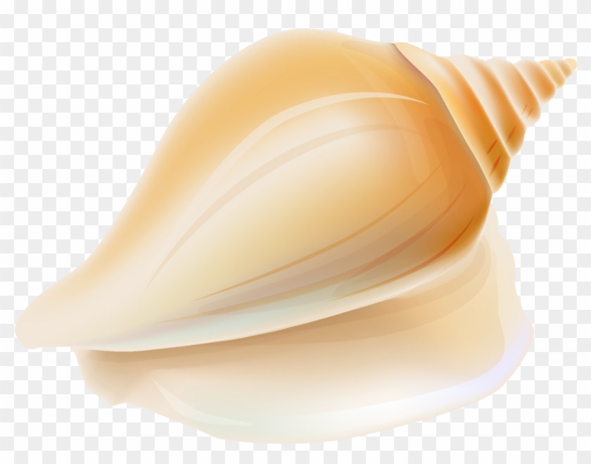 Transparent Seashell Png Clipart - Hawaiian Seashell Clipart #473315