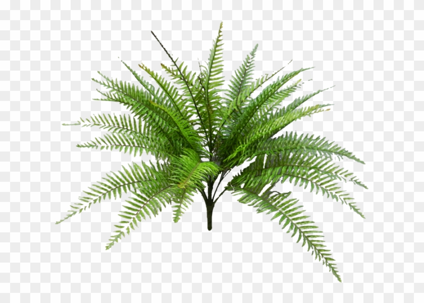 Tropical Fern Png Svg Black And White Download - Fern Palm Png Clipart #473454