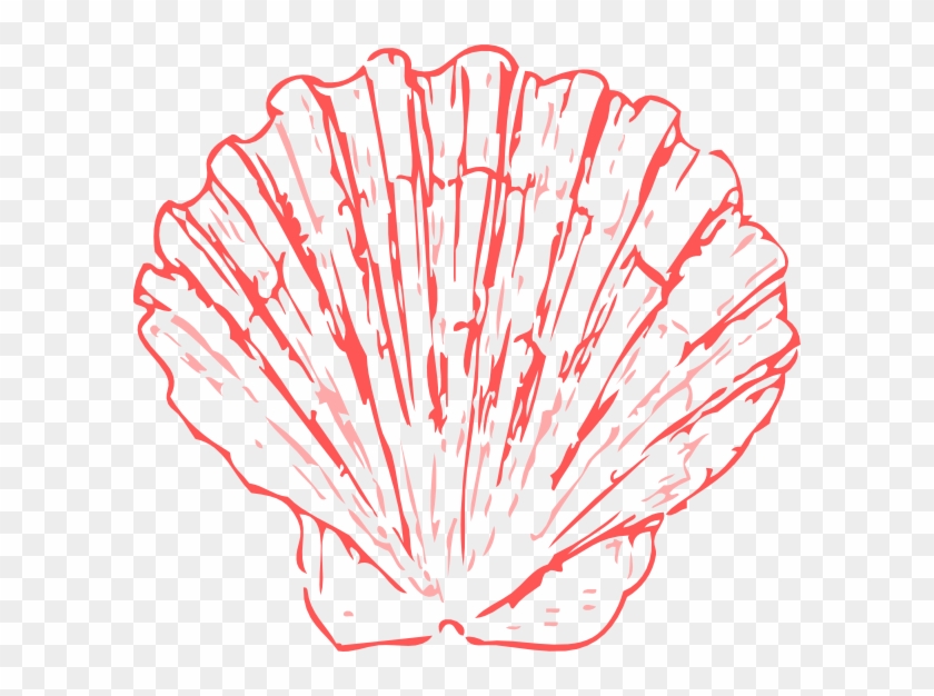 Banner Transparent Stock Coral Sea Shell Clip Art At - Sea Shells Clipart Png #473492