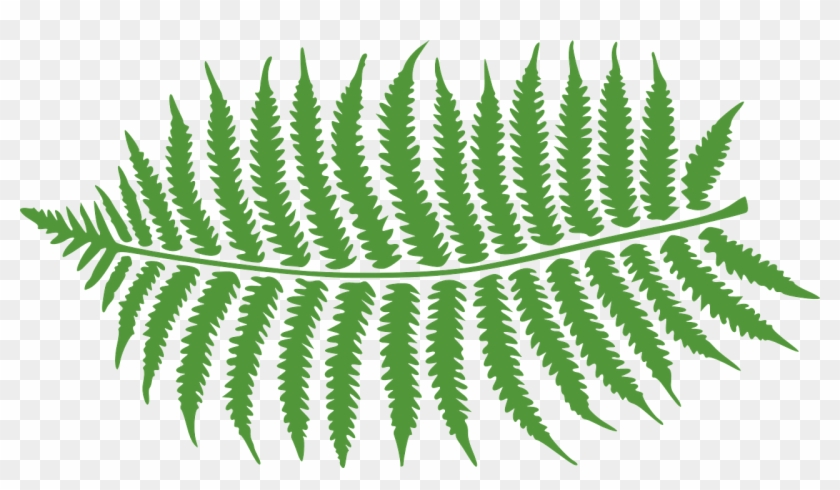 Bracken-297080 1280 - “ - Fern Clip Art - Png Download