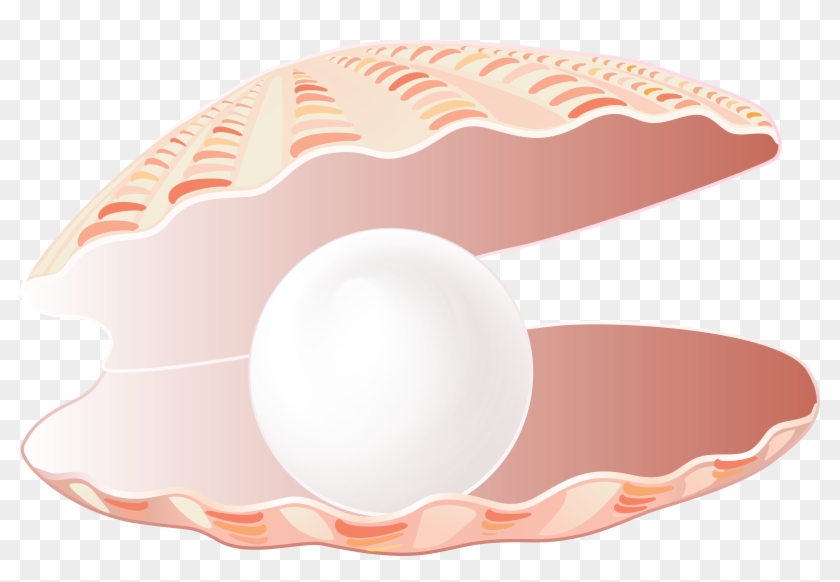 Seashell Open Png Clipart