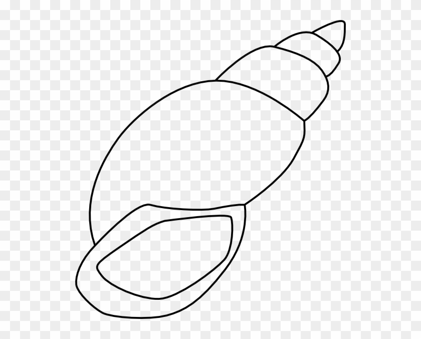 540 X 596 12 - Outline Of A Shell Clipart #474013