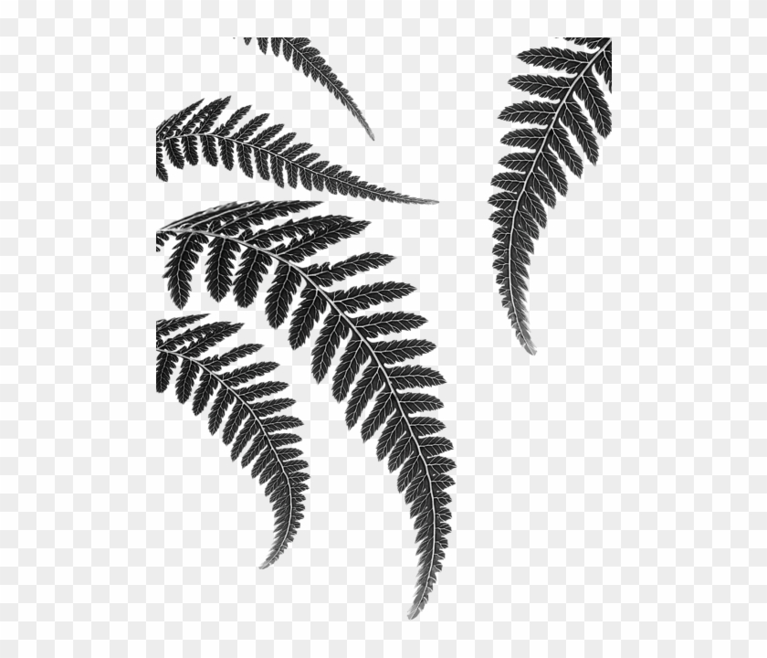 499 X 700 3 - Canvas Clipart