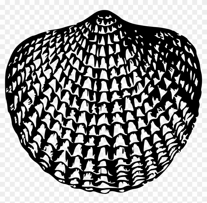 This Free Icons Png Design Of Sea Shell 1 Clipart