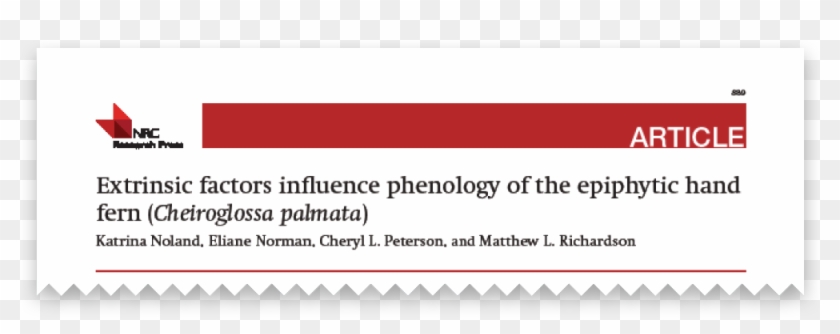 Extrinsic Factors Influence Phenology Of Hand Fern - Flag Clipart