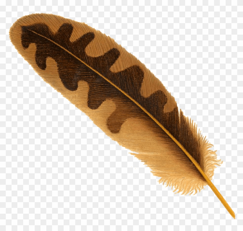 Free Png Download Feather Png Images Background Png - Transparent Background Feather Png Clipart #474691