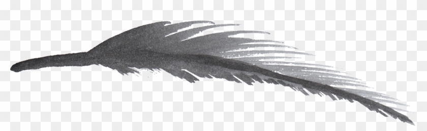 Free Download - Watercolor Feather Black Png Clipart #474719