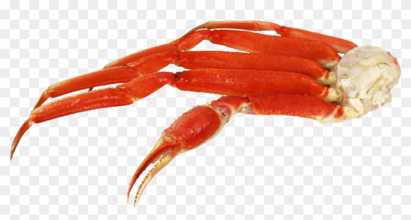 1500 X 1500 12 - Transparent Crab Leg Png Clipart #475419
