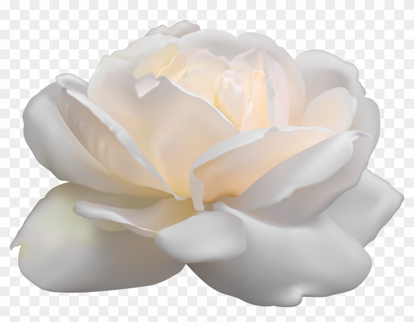 Free Png Download White Rose Png Images Background - Artificial Flower Clipart