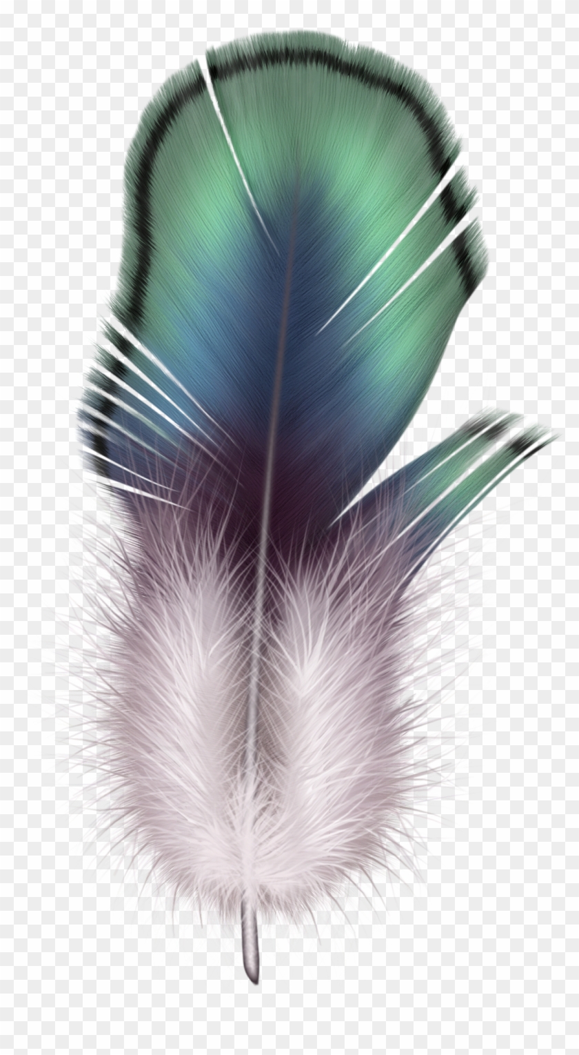 Download Feather Png Images Background - Floating Feather Clipart Transparent Background #475641