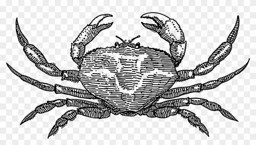 Crab Clipart - Png Download