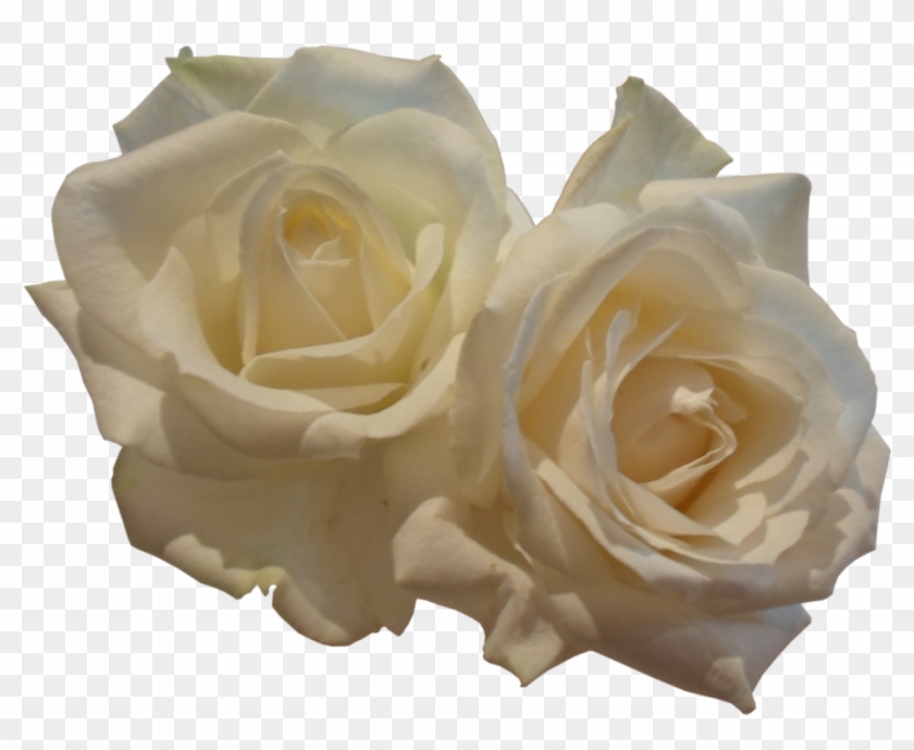 Go To Image - Floribunda Clipart #475741