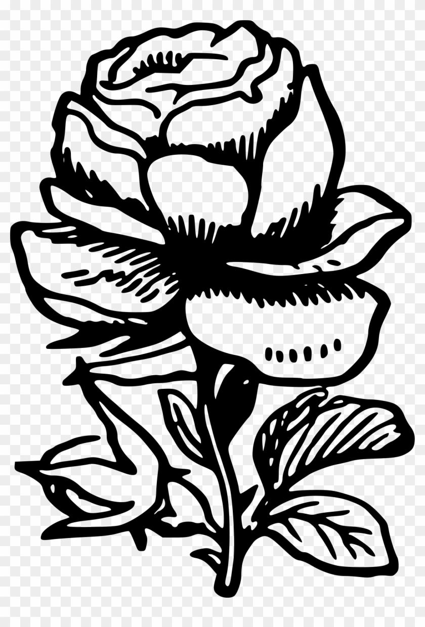 1680 X 2400 13 - Black & White Rose Png Clipart