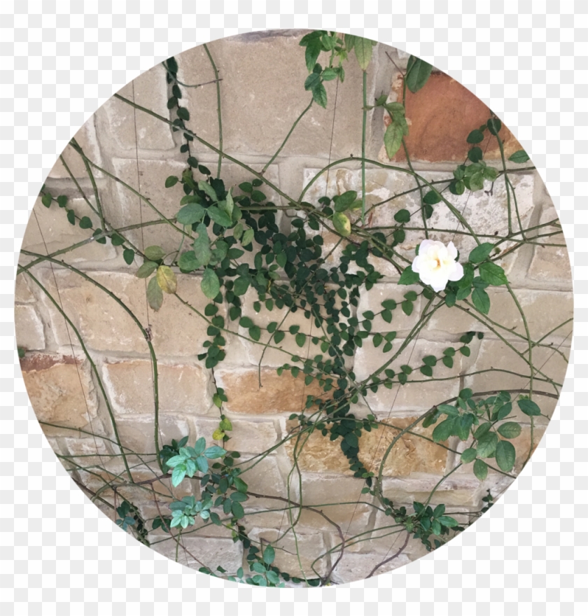 Img 0673 Beth Circle Founder Page - Circle Clipart