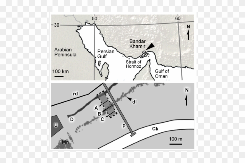 Above, Bandar Khamir - Map Clipart #475858