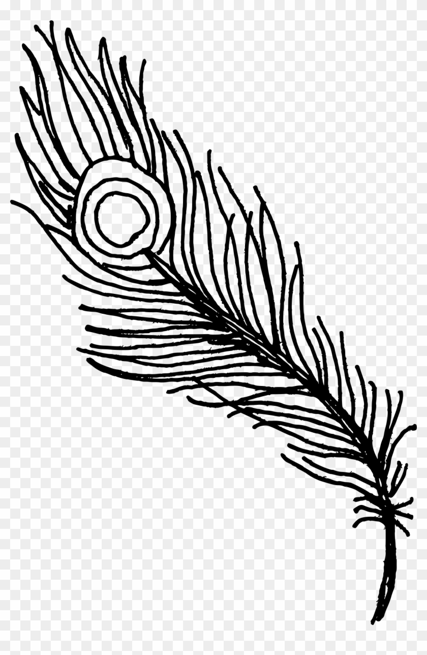 Free Download - Peacock Feather Drawing Png Clipart #475860