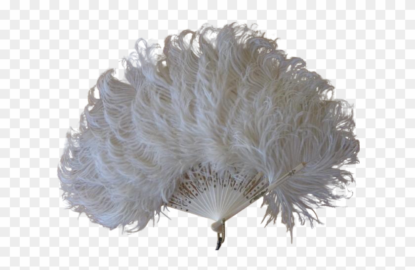 Feathers Png For Free Download On - Peafowl Clipart