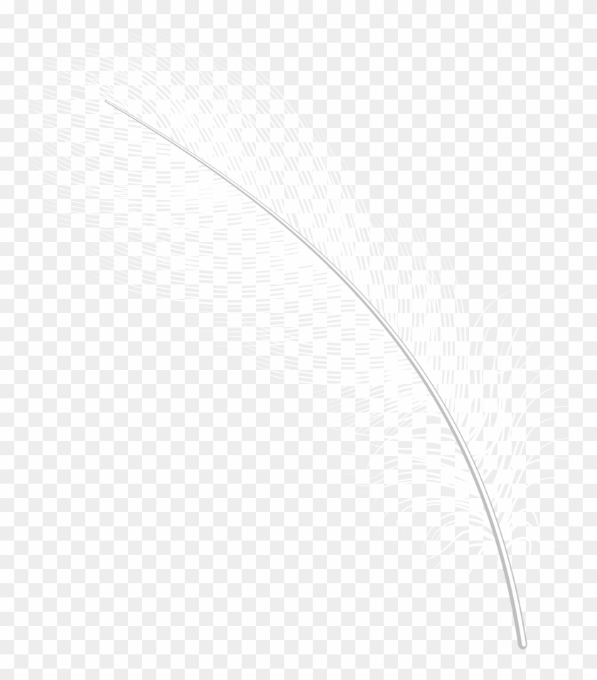 White Feather Clip Art Transparent Image - Png Download