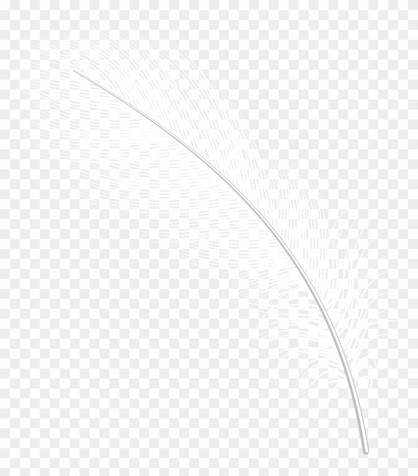 White Feather Clip Art Transparent Image - Png Download #476220