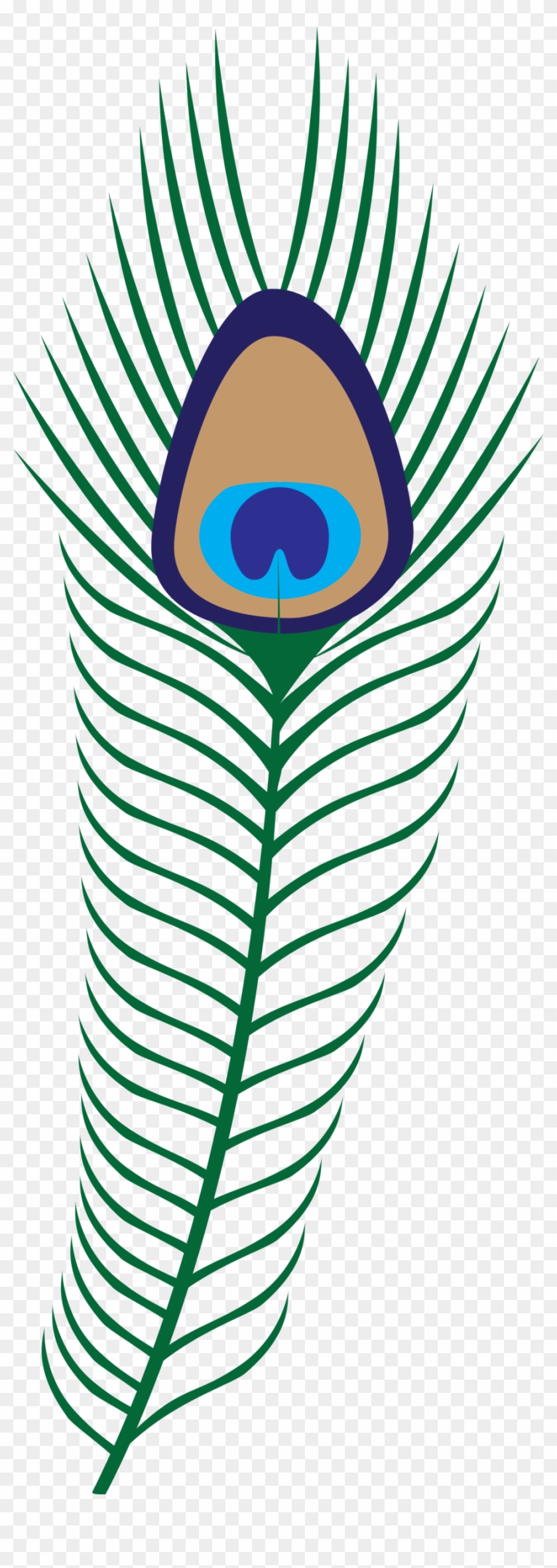 Cartoon Peacock Feathers - Transparent Background Png Format Peacock Feathers Clipart #476394