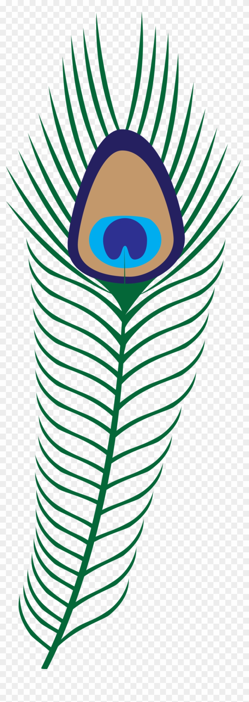 Cartoon Peacock Feathers - Transparent Background Png Format Peacock Feathers Clipart