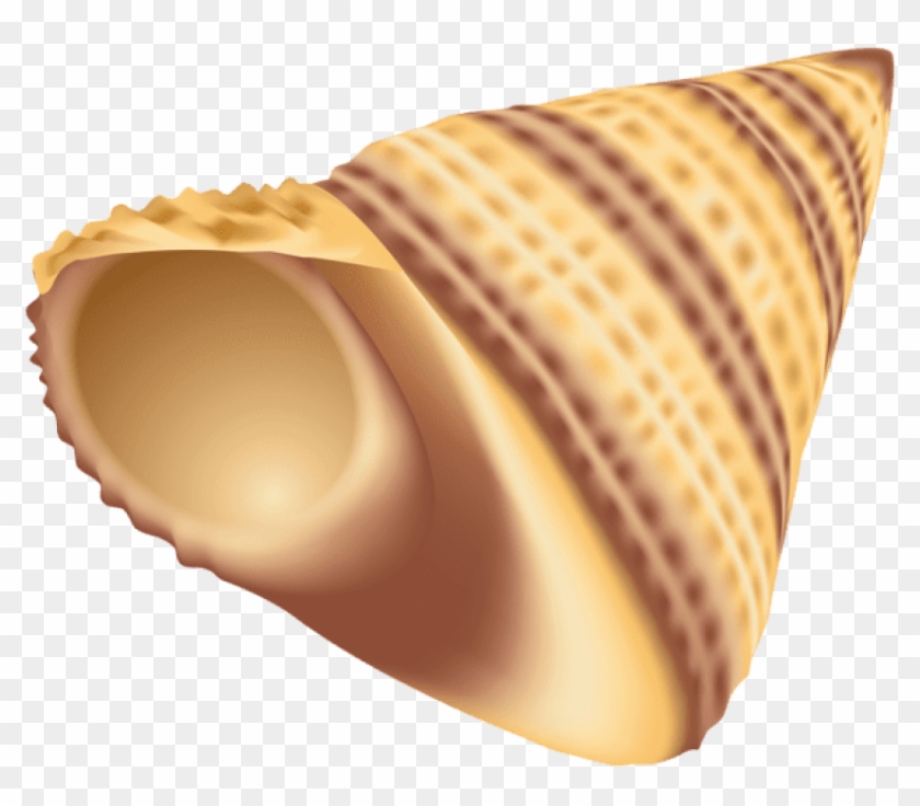 Free Png Download Hermit Crab Shell Clipart Png Photo - Wind Instrument Transparent Png