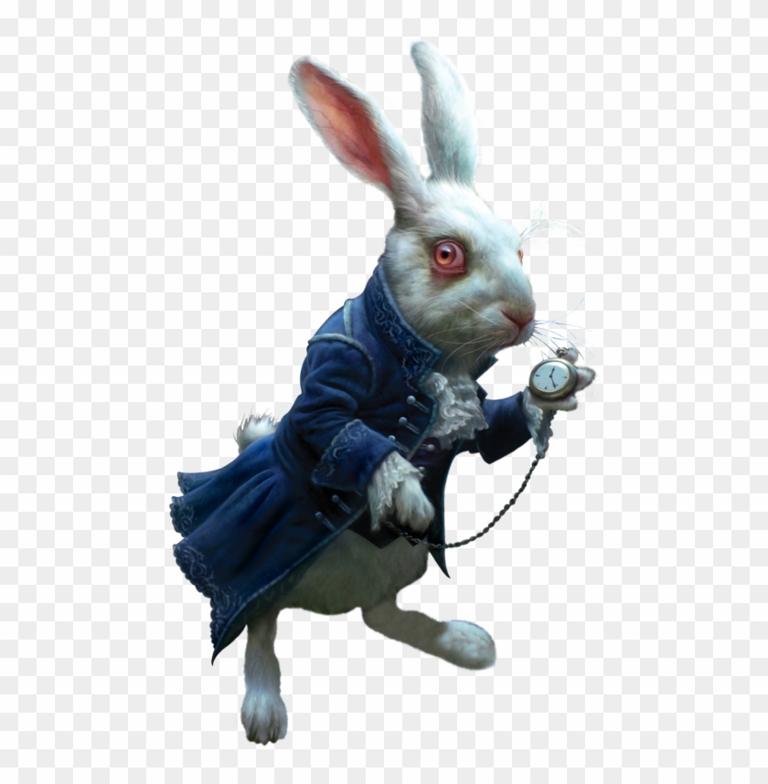Фотки Rabbit Png, Alice In Wonderland Rabbit, Alice - White Rabbit Wonderland Png Clipart #478025