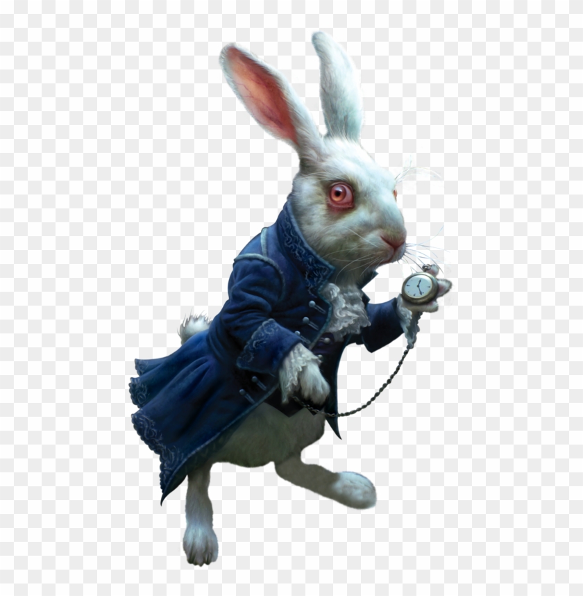 Фотки Rabbit Png, Alice In Wonderland Rabbit, Alice - White Rabbit Wonderland Png Clipart