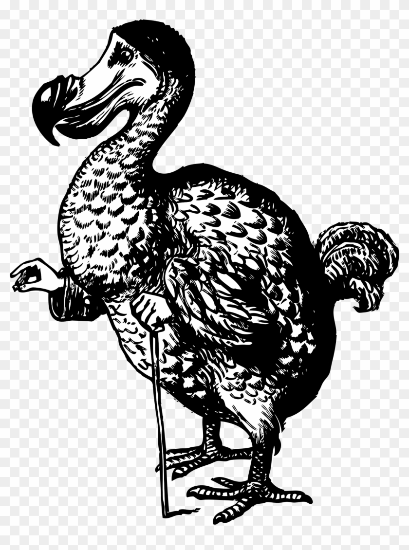This Free Icons Png Design Of The Dodo From Alice In Clipart