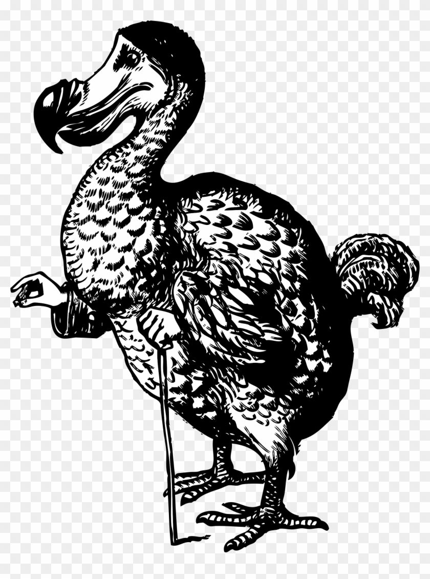 This Free Icons Png Design Of The Dodo From Alice In Clipart #478074