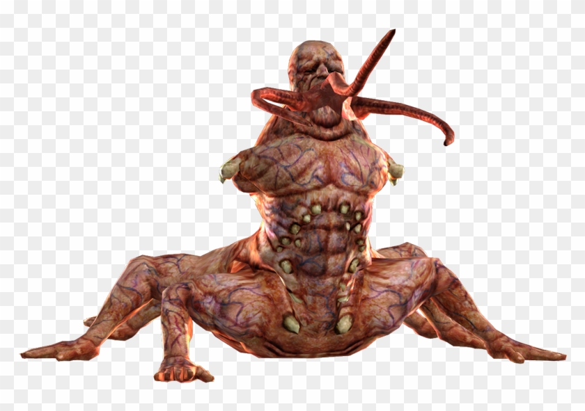 362kib, 800x529, Centaur - Xnalara Centaur Clipart #478497