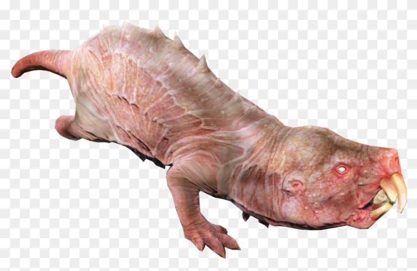 Image Mole Rat Fo4 Png Fallout Wiki Fandom Powered Clipart #478772