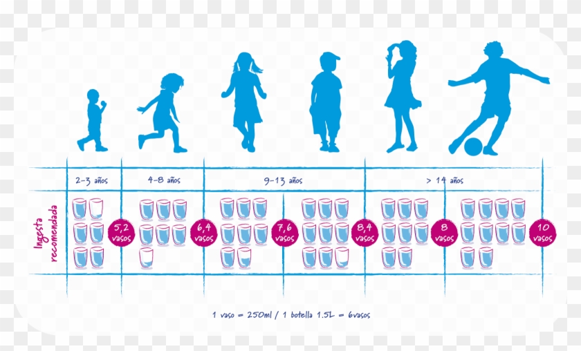 Agua En Estas Edades Que Pueden Perder El Hábito Porque - Departamento De Casais Advec Clipart
