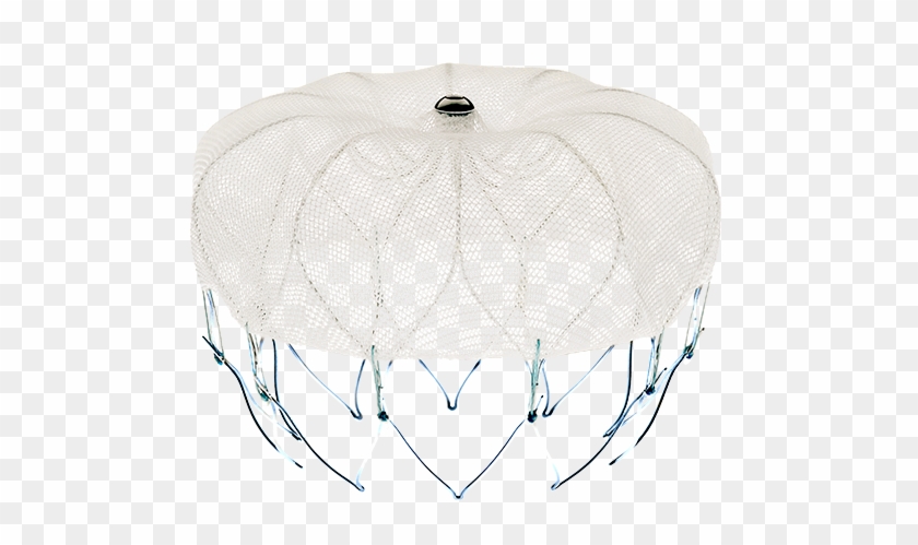 Watchman Boston Scientific Clipart #4703853