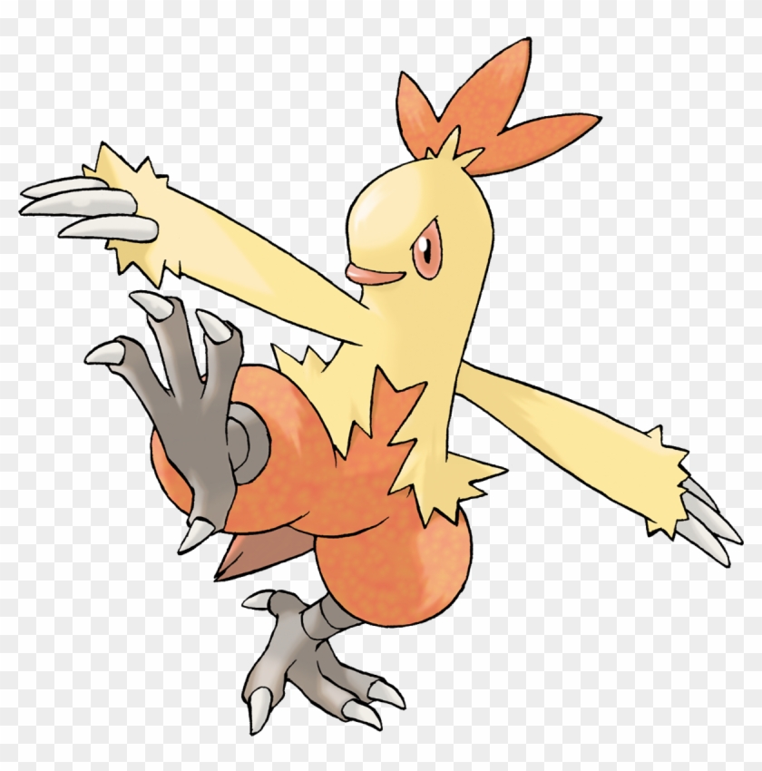 Combusken - Combusken Pokemon Clipart #4704632