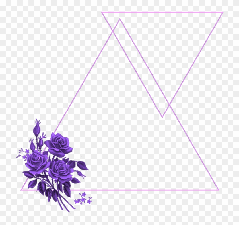 #mq #purple #flowers #frame #frames #border #borders - African Daisy Clipart #4705147