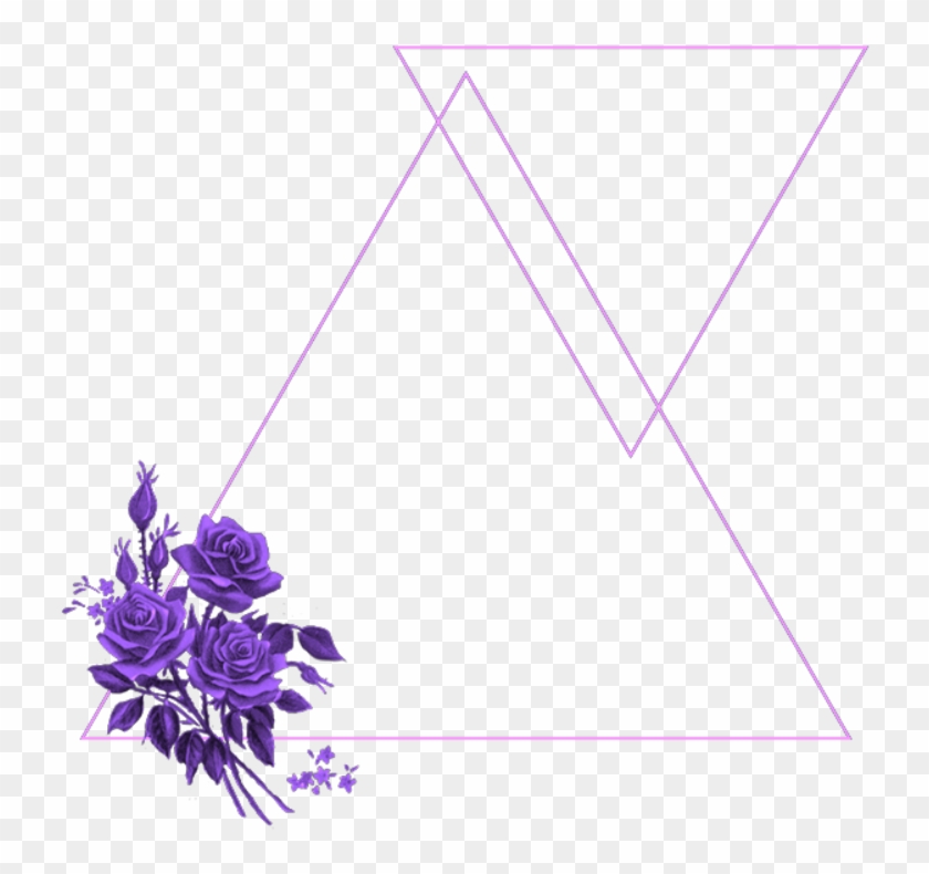 #mq #purple #flowers #frame #frames #border #borders - African Daisy Clipart