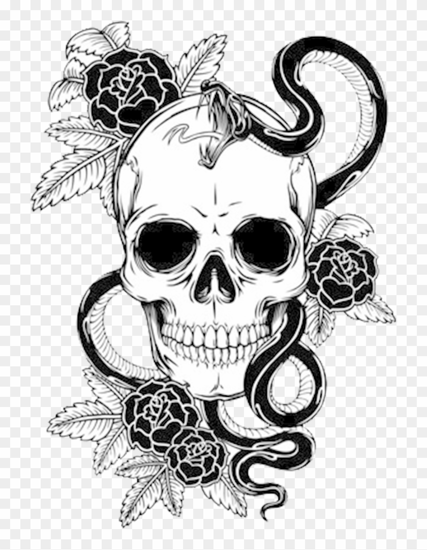 Skeleton Drawing Roses - Skull With Rose And Snake Clipart