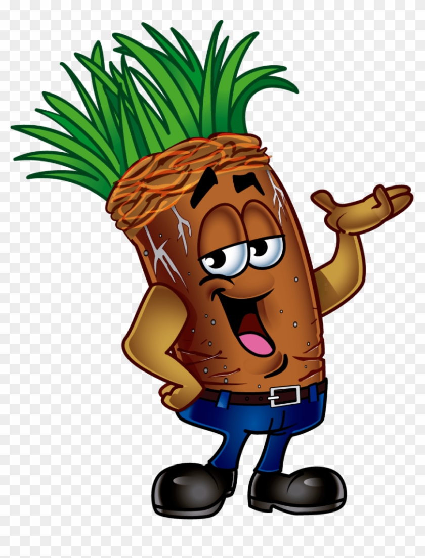 Lawn Core Cartoonmichelle Glosser2018 08 08t15 - Core Aeration Cartoon Clipart