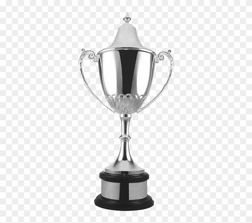 Swatkins Silverware Champion Trophy Cup 550mm L576 - Champion Cup Clipart #4706378